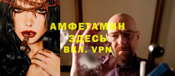 амф Гусиноозёрск