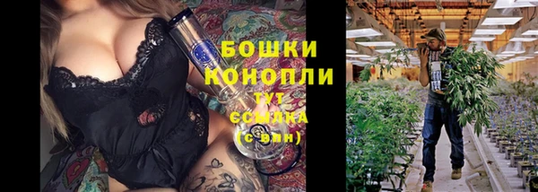 мдпв Гусь-Хрустальный