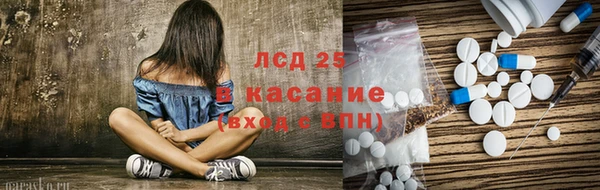 амф Гусиноозёрск