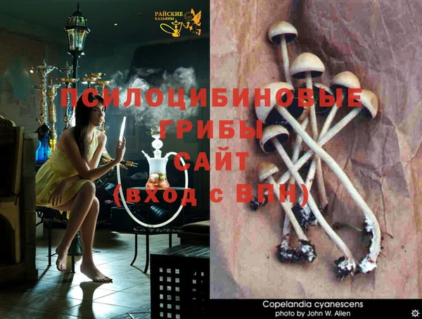 мяу мяу кристалл Гусев