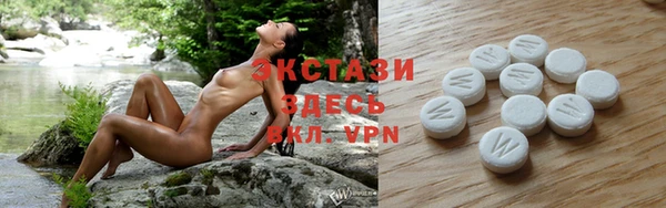 мдпв Гусь-Хрустальный